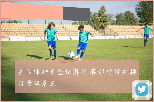 乒乓球种子签位解析 赛程对阵安排与晋级看点