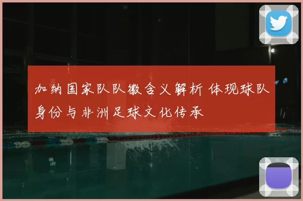 加纳国家队队徽含义解析 体现球队身份与非洲足球文化传承