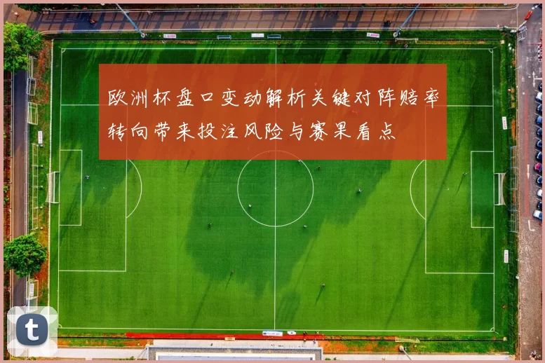 欧洲杯盘口变动解析关键对阵赔率转向带来投注风险与赛果看点